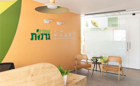 חברה בצמיחה