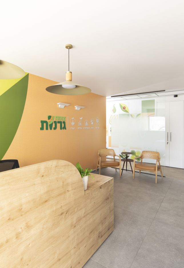 חברה בצמיחה